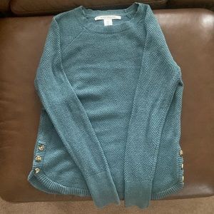 Max Studio Teal Sweater